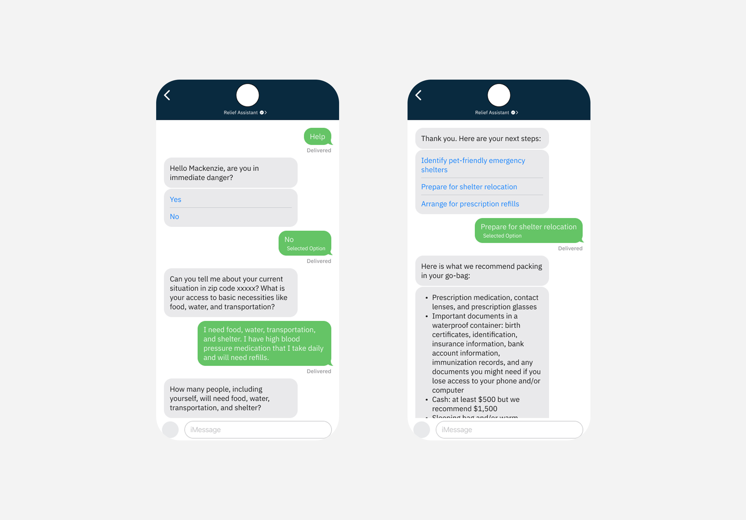 Disaster Recovery Assistant project preview